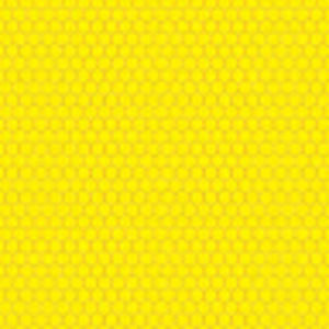 Meet your Posher, Maddison